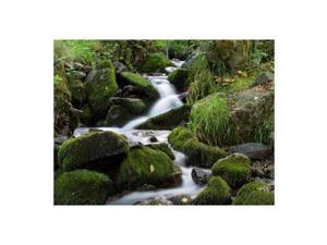 Lee 0.3 Neutral Density Filter, 150x150mm Resin for SW150 Holder #SW150-3ND-STD Lee 0.3 Neutral Density Filter, 150x150mm Resin for SW150 Holder #SW150-3ND-STD