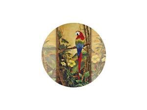 Thirstystone Drink Coaster Set, Exotic Birds II Thirstystone Drink Coaster Set, Exotic Birds II