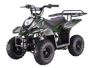 Tao Tao B1 ATV 110cc Tao Tao B1 ATV 110cc