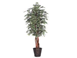 6' Variegated Smilax Executive 6' Variegated Smilax Executive