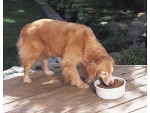 PETMATE CROCK DISH PETMATE CROCK DISH