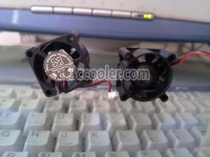 Micro Fan 2515 FD0525-B2012C 5V Notebook Fan,HDD Fan,CPU Cooler Fan,Cooling Fan WITH 2 Wires 2 Pins Connector Micro Fan 2515 FD0525-B2012C 5V Notebook Fan,HDD Fan,CPU Cooler Fan,Cooling Fan WITH 2 Wires 2 Pins Connector