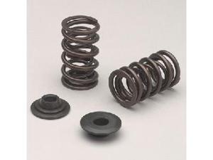 Edelbrock 5795 Sure Seat Valve Spring Kit Edelbrock 5795 Sure Seat Valve Spring Kit