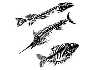 Crafter's Workshop Template 6"X6"-Fish Fossils Crafter's Workshop Template 6"X6"-Fish Fossils