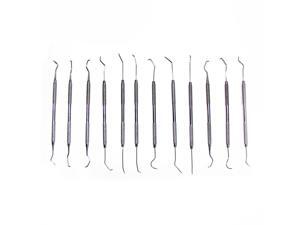 12 Dental Picks Set - Carving Modeling Clay, Wax Probe, Jewelry Tools 12 Dental Picks Set - Carving Modeling Clay, Wax Probe, Jewelry Tools