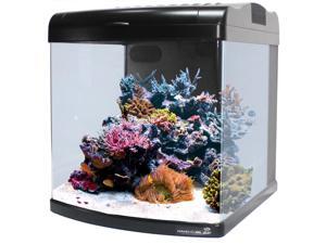 JBJ 28 Gallon Nano Cube Intermediate LED Aquarium JBJ 28 Gallon Nano Cube Intermediate LED Aquarium