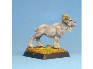 Rams MINT/New Rams MINT/New