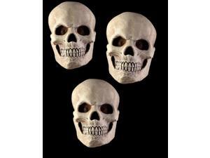Skull Set Skull Set