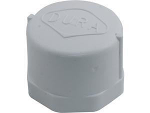 Lasco 448-010 1" FPT Pool & Spa Cap Lasco 448-010 1" FPT Pool & Spa Cap