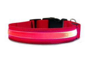 Furhaven Pet NAP Safety LED Light up Collar for Dogs (S) - Red Furhaven Pet NAP Safety LED Light up Collar for Dogs (S) - Red