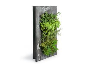 GroVert Living Chalkboard Wall Planter with Frame Kit GroVert Living Chalkboard Wall Planter with Frame Kit