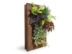 GroVert Living Wall Planter with Frame Kit 16" x 24" GroVert Living Wall Planter with Frame Kit 16" x 24"