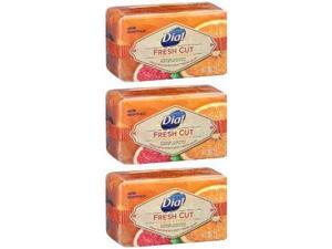Dial Fresh Cut Bar Soap - Citrus Premium Fragrance - Net Wt. 8 OZ (226 g) Per Bar - Pack of 3 Bars Dial Fresh Cut Bar Soap - Citrus Premium Fragrance - Net Wt. 8 OZ (226 g) Per Bar - Pack of 3 Bars