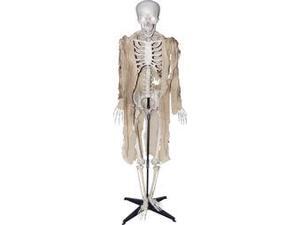TALKING SKELETON TALKING SKELETON