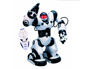 TT323 X5 RC robot Robosapien Huminoid Walking Toy Robot with Remote Control TT323 X5 RC robot Robosapien Huminoid Walking Toy Robot with Remote Control