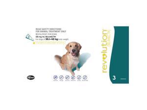 Revolution Teal 3 Pack Revolution Teal 3 Pack