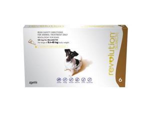 Revolution Brown 6 Pack Revolution Brown 6 Pack