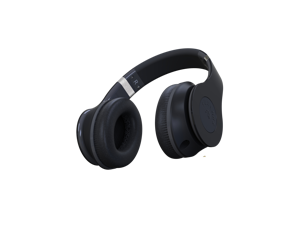Fuji Labs 2-in-1 Bundle Fuji Labs Bluetooth Wireless DJ Stereo Headphones + Fuji Labs Sonique 306 Titanium with in line mic earphones Fuji Labs 2-in-1 Bundle Fuji Labs Bluetooth Wireless DJ Stereo Headphones + Fuji Labs Sonique 306 Titanium with in line mic earphones