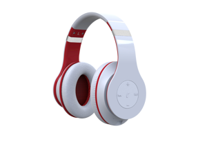 Fuji Labs 2-in-1 Bundle Fuji Labs Bluetooth Wireless DJ Stereo Headphones + Fuji Labs SQ101 in-ear headphones with in-line mic Fuji Labs 2-in-1 Bundle Fuji Labs Bluetooth Wireless DJ Stereo Headphones + Fuji Labs SQ101 in-ear headphones with in-line mic