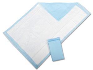 Protection Plus Disposable Underpads, Blue - Heavy, Fluff, 36" X 23" - 150 Each / Case (5 Each / Inner Pack) Protection Plus Disposable Underpads, Blue - Heavy, Fluff, 36" X 23" - 150 Each / Case (5 Each / Inner Pack)