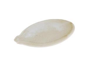 THZY 12 Seeds of Special Vegetable Seeds the Giant Pumpkin Seeds Extra Large Pumpkin Seeds Huge Pumpkins THZY 12 Seeds of Special Vegetable Seeds the Giant Pumpkin Seeds Extra Large Pumpkin Seeds Huge Pumpkins