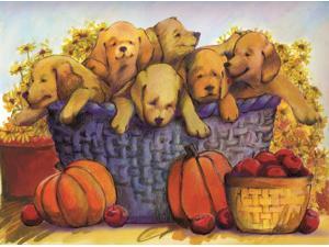 Thanksgiving Greeting Cards - Bountiful Basket - BB100. Business Greeting Card Featuring Puppies Next to Pumpkins and Apples. Box Set has 25 Greeting Cards and 26 Pumpkin Orange Colored Envelopes. Thanksgiving Greeting Cards - Bountiful Basket - BB100. Business Greeting Card Featuring Puppies Next to Pumpkins and Apples. Box Set has 25 Greeting Cards and 26 Pumpkin Orange Colored Envelopes.