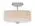 Quoizel Brushed Nickel Brushed Nickel & Glass Medium Semi Flush Mount - image 2