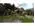 Might & Magic X Legacy [Online Game Code]  - image 4