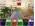 Bellatorus Deluxe [Game Download] - image 2