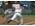 MLB 09: The Show Game - image 3