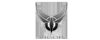 Vigor Gaming