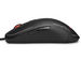 newegg