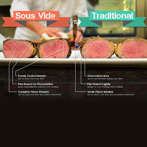 Frontier Sous Vide Precise Cooking Immersion with LED Display