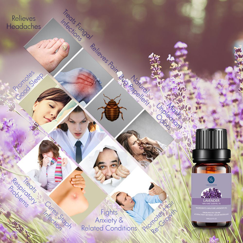 Aromatherapy Essential Oil Gift Set Top 6 Aromatherapy Oils Orange Lavender Tea Tree Peppermint Eucalyptus Lemongrass