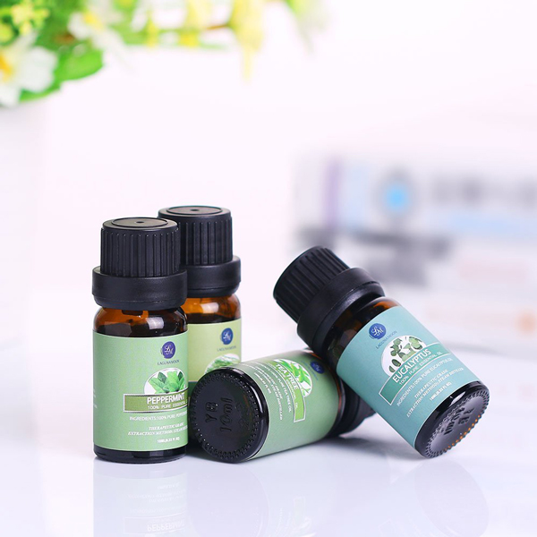 Aromatherapy Essential Oil Gift Set Top 6 Aromatherapy Oils Orange Lavender Tea Tree Peppermint Eucalyptus Lemongrass