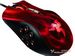 newegg