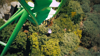 An action shot of someone riding a roller coaster over a forest