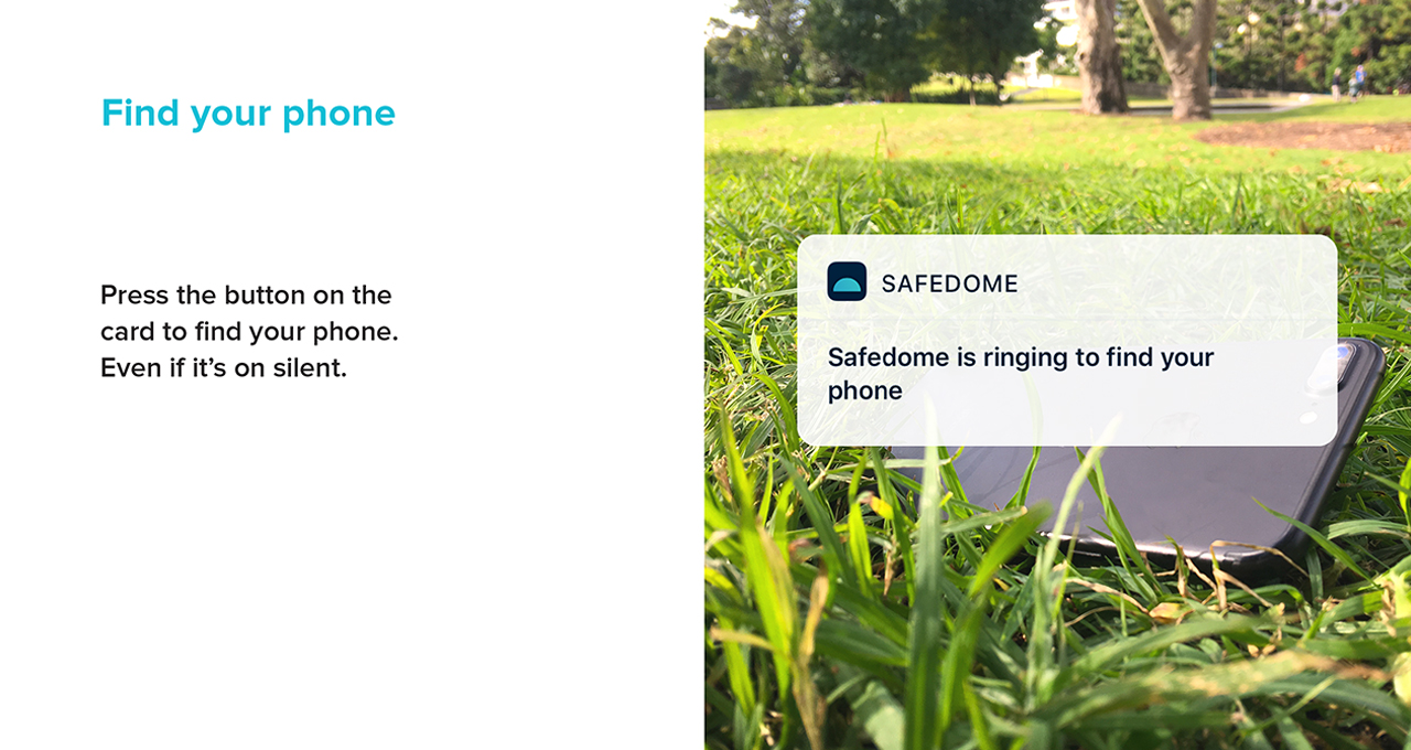 Safedome