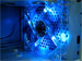 newegg