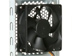newegg