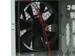 newegg