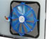 newegg