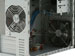 newegg