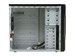 newegg