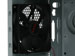 newegg