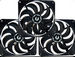 newegg