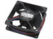 newegg