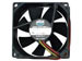 newegg