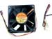newegg
