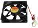 newegg